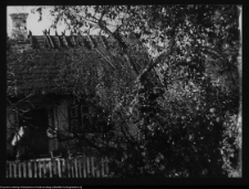 Jan&oacute;wka, chata