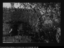 Jan&oacute;wka, chata