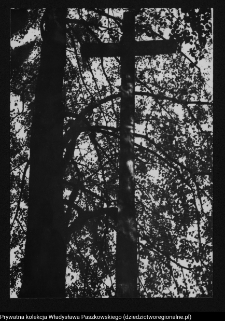 Nowosady, krzyż wotywny