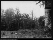 Rapa, ogr&oacute;d przy pałacu