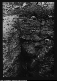 Tykocin, ruiny zamku