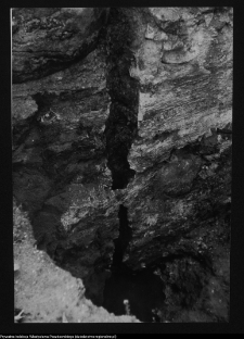 Tykocin, ruiny zamku