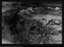 Tykocin, ruiny zamku