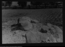 Tykocin, ruiny zamku