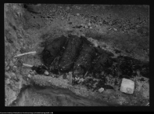 Tykocin, ruiny zamku