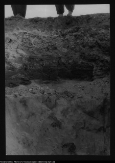 Tykocin, ruiny zamku