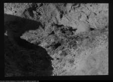 Tykocin, ruiny zamku