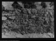 Tykocin, ruiny zamku