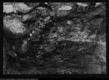 Tykocin, ruiny zamku