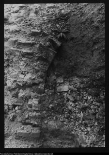 Tykocin, ruiny zamku