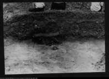 Tykocin, ruiny zamku