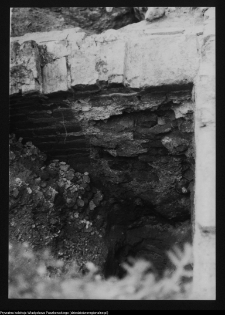 Tykocin, ruiny zamku