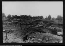 Tykocin, ruiny zamku