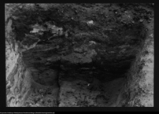 Tykocin, ruiny zamku