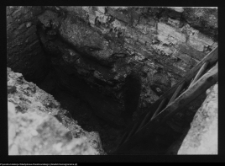 Tykocin, ruiny zamku