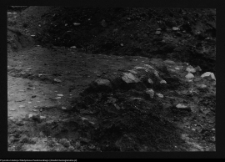 Tykocin, ruiny zamku