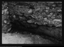 Tykocin, ruiny zamku