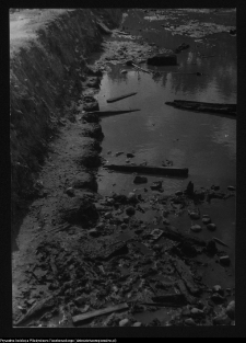 Tykocin, ruiny zamku