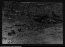 Tykocin, ruiny zamku