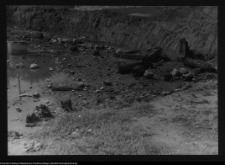 Tykocin, ruiny zamku