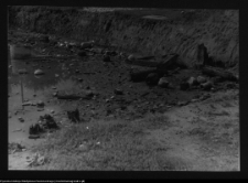 Tykocin, ruiny zamku