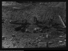 Tykocin, ruiny zamku