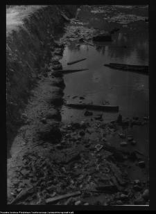 Tykocin, ruiny zamku