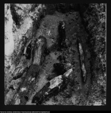 Tykocin, ruiny zamku