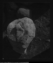 Tykocin, ruiny zamku