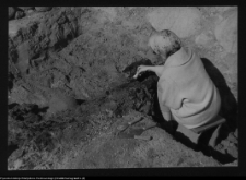 Tykocin, ruiny zamku