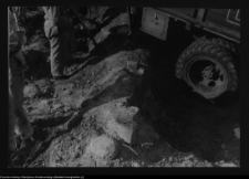 Tykocin, ruiny zamku