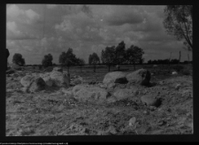 Tykocin, ruiny zamku