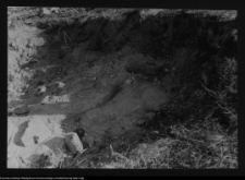 Tykocin, ruiny zamku