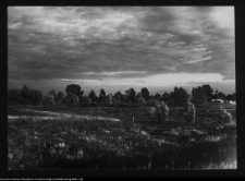 Tykocin, ruiny zamku