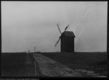 Borowskie Michały, wiatrak