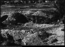 Szczuczyn, pozostałości pałacu Szczuk&oacute;w