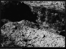 Szczuczyn, pozostałości pałacu Szczuk&oacute;w