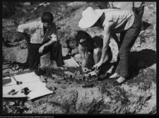 Szczuczyn, pozostałości pałacu Szczuk&oacute;w