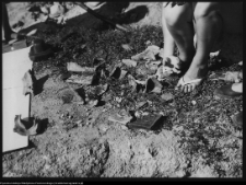 Szczuczyn, pozostałości pałacu Szczuk&oacute;w