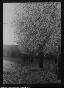 Tykocin, ul. Czarnieckiego