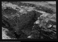 Tykocin, ruiny zamku