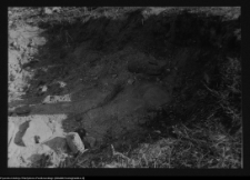 Tykocin, ruiny zamku