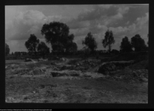 Tykocin, ruiny zamku