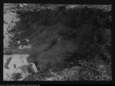 Tykocin, ruiny zamku