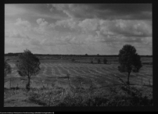 Tykocin, ruiny zamku