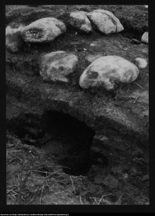 Tykocin, ruiny zamku