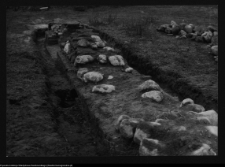 Tykocin, ruiny zamku