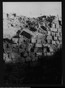 Tykocin, ruiny zamku