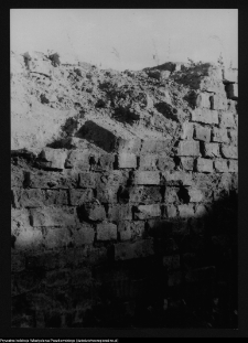 Tykocin, ruiny zamku