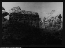 Tykocin, ruiny zamku